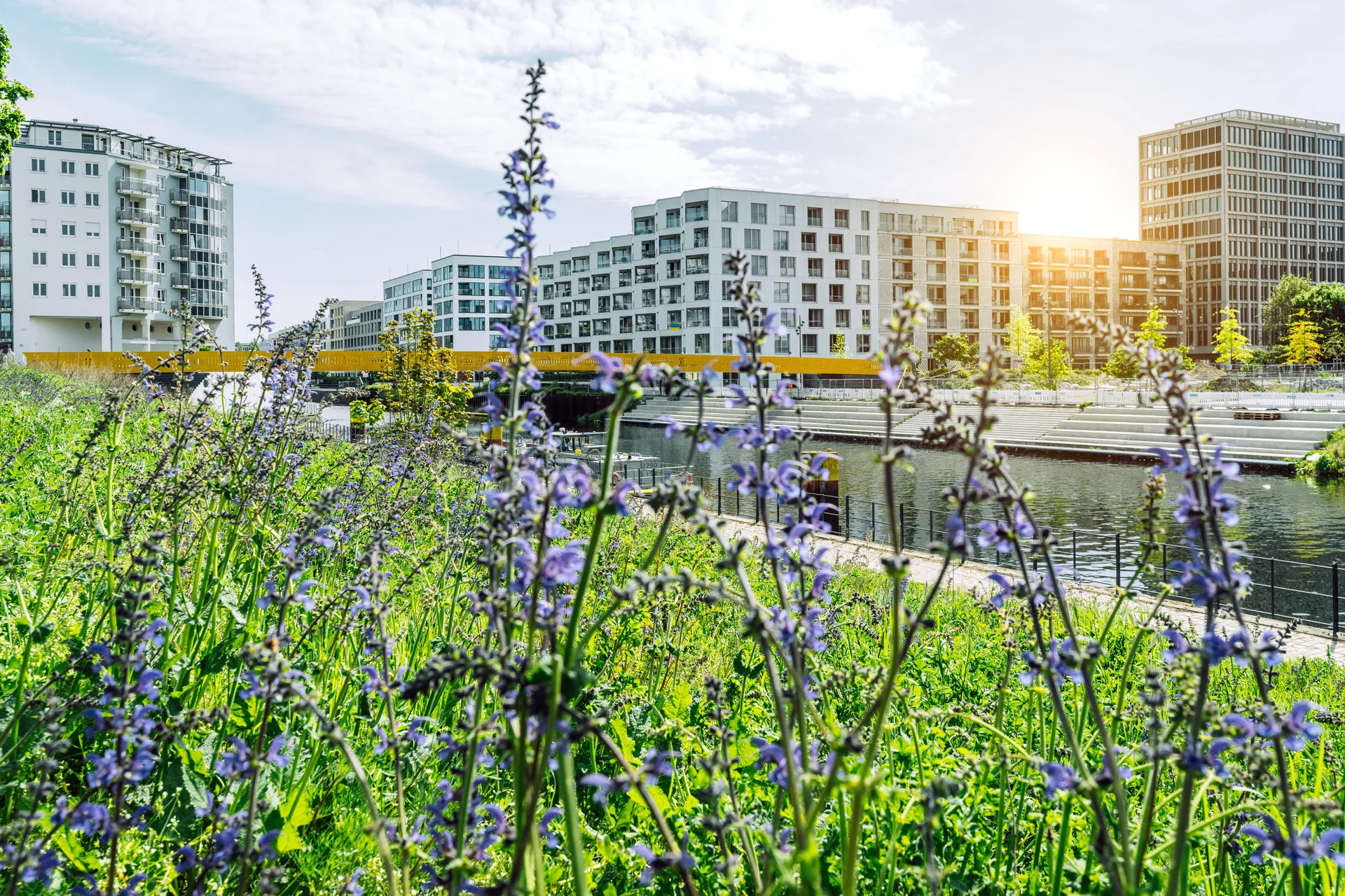 urban biodiversity