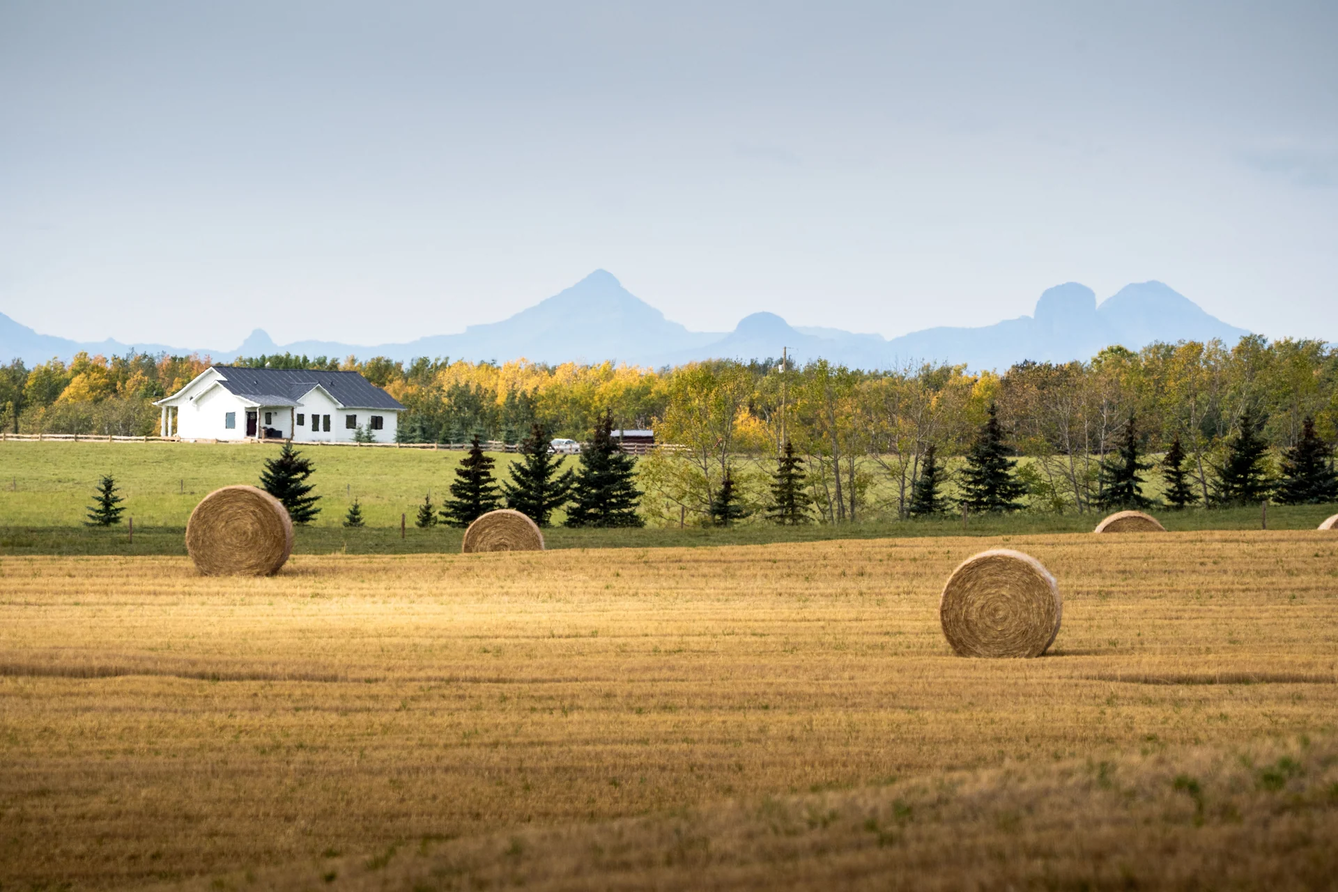 rural landscape
