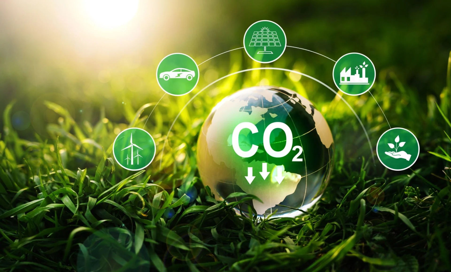 Sustainable development and green business based on renewable energy. Reduce CO2 emission concept. Renewable energy-based green businesses can limit climate change and global warming.