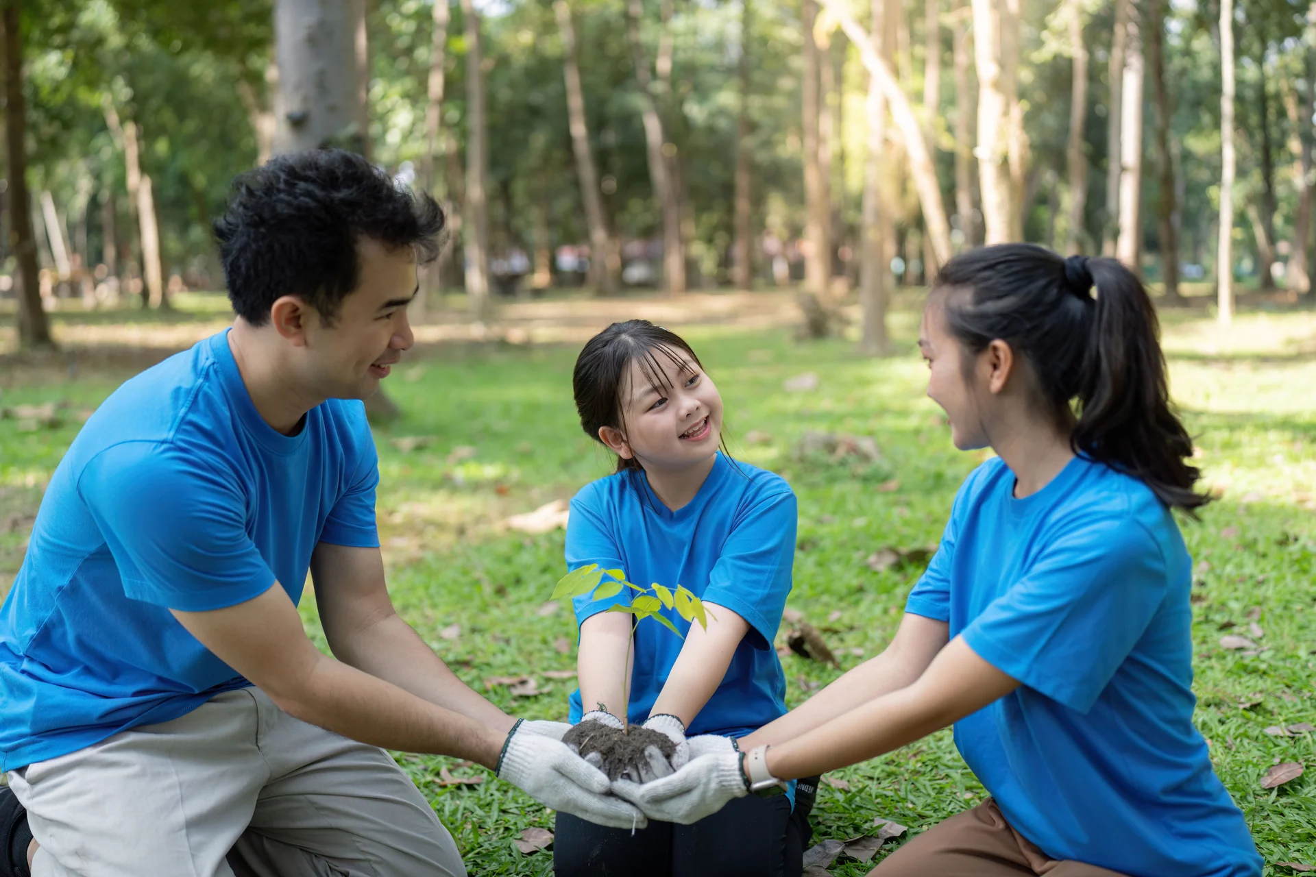 public engagement environment
