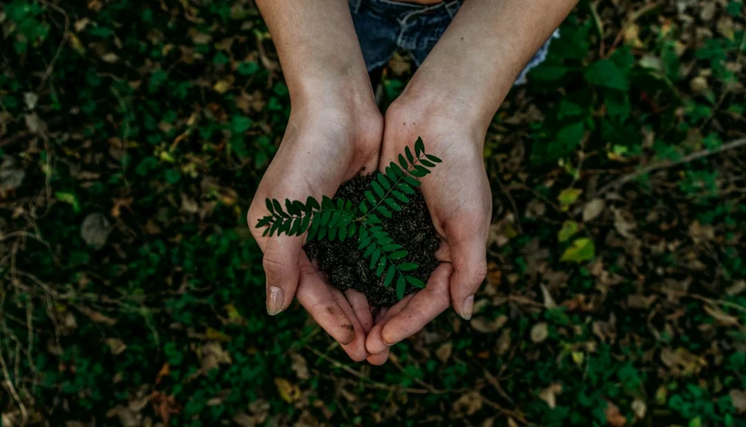environmental policy