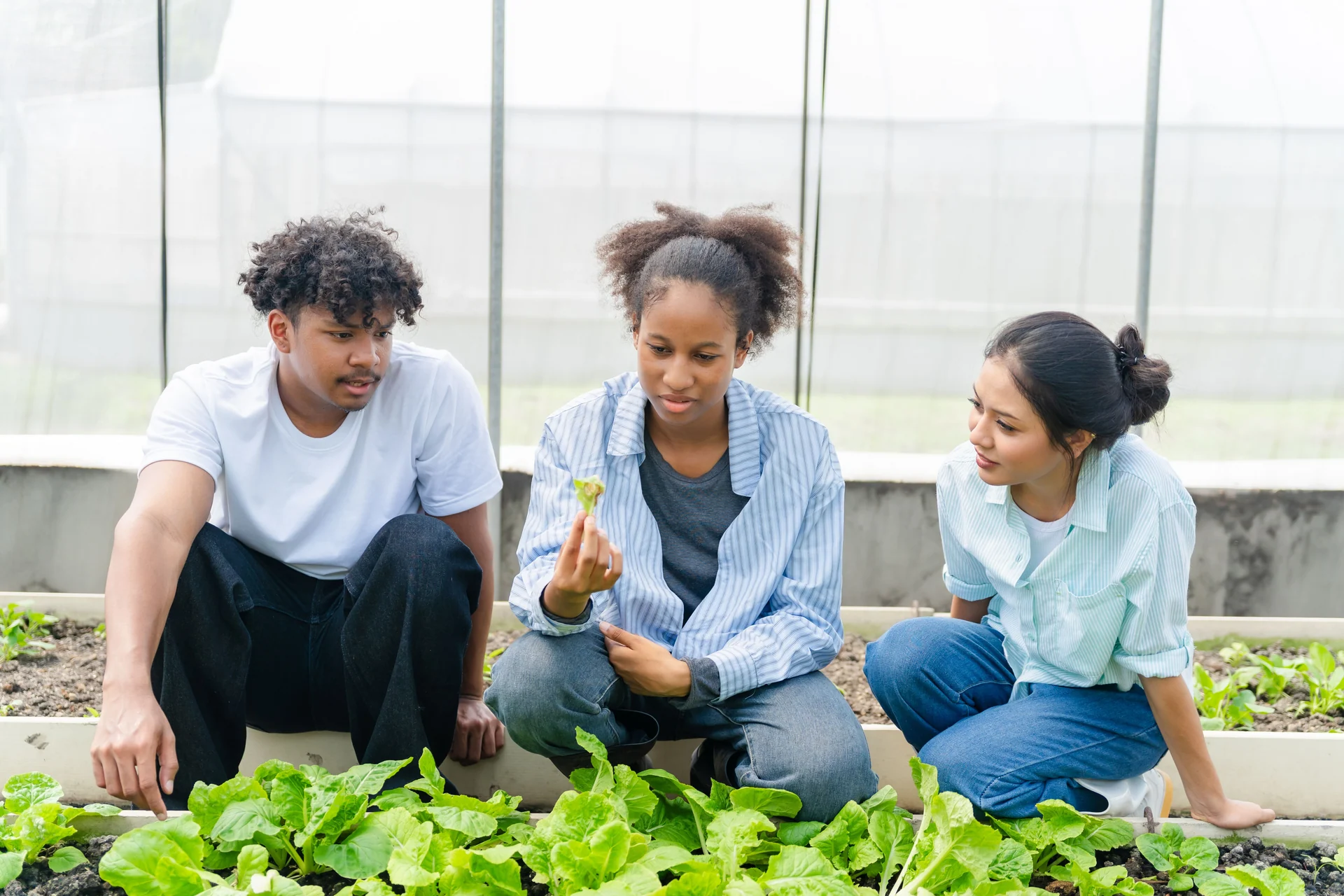 students planting