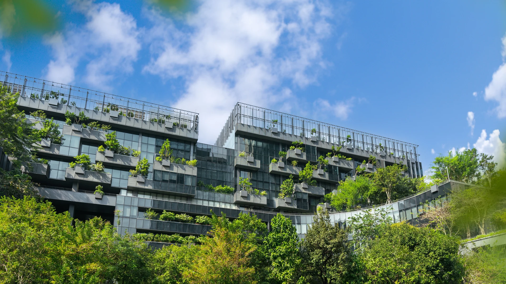 green city