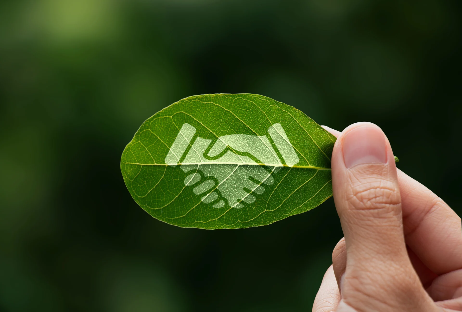 sustainability partnership