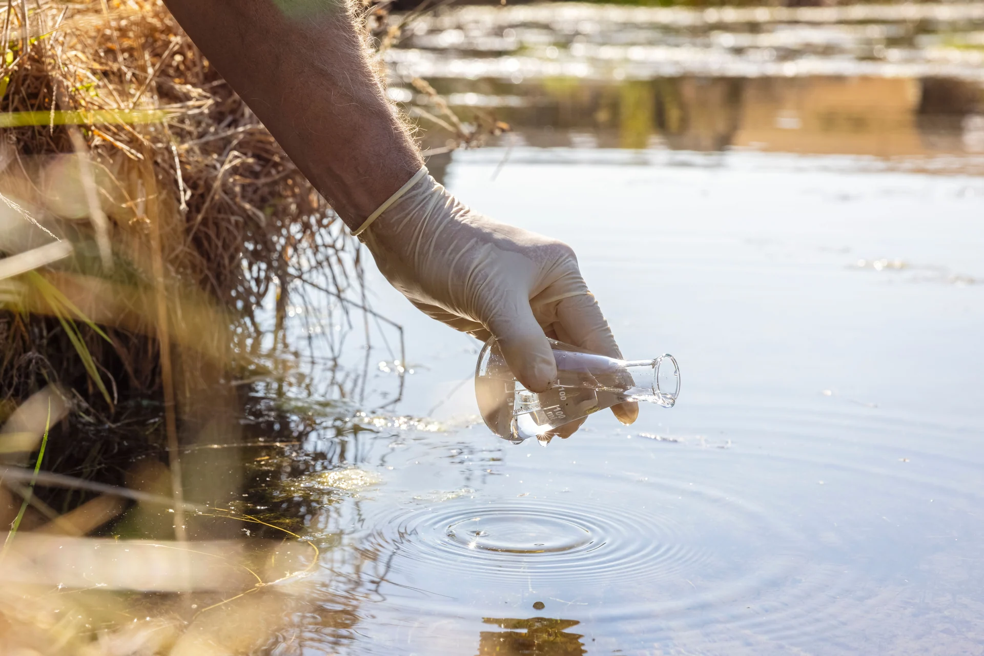 water quality management