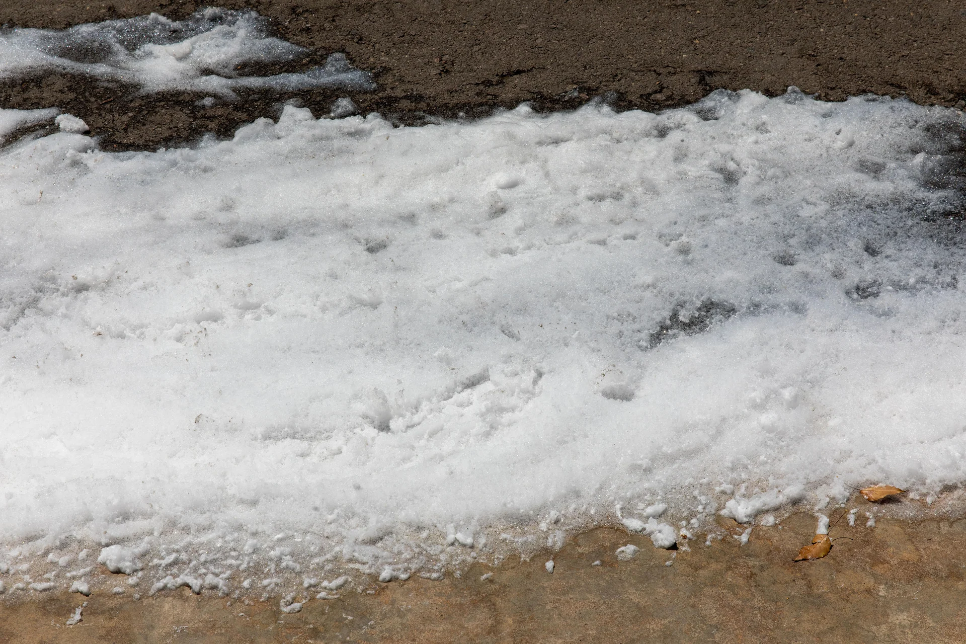 pfas environment