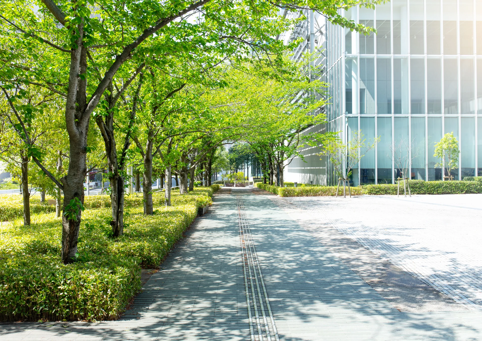 urban green space