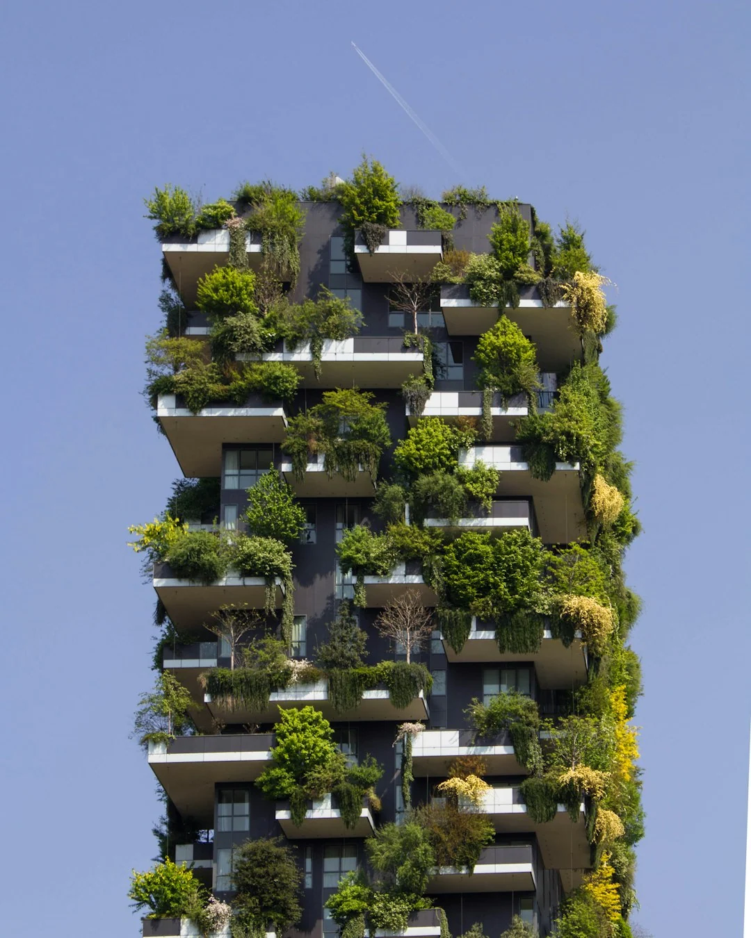 urban sustainability