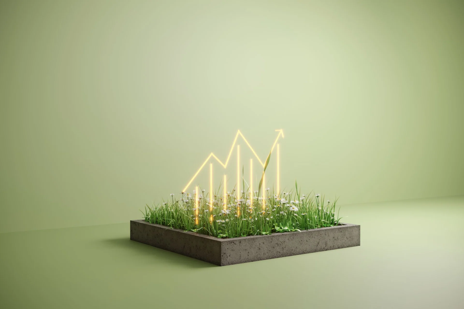 sustainable future