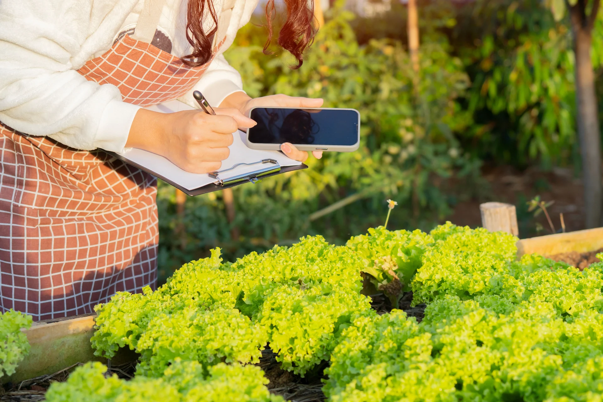 citizen science