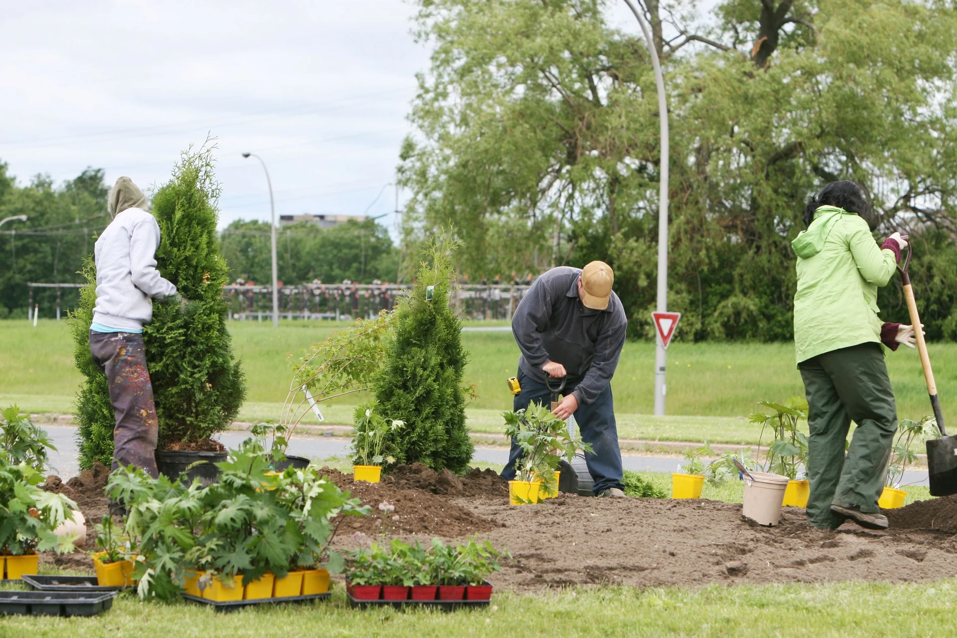 urban landscaping