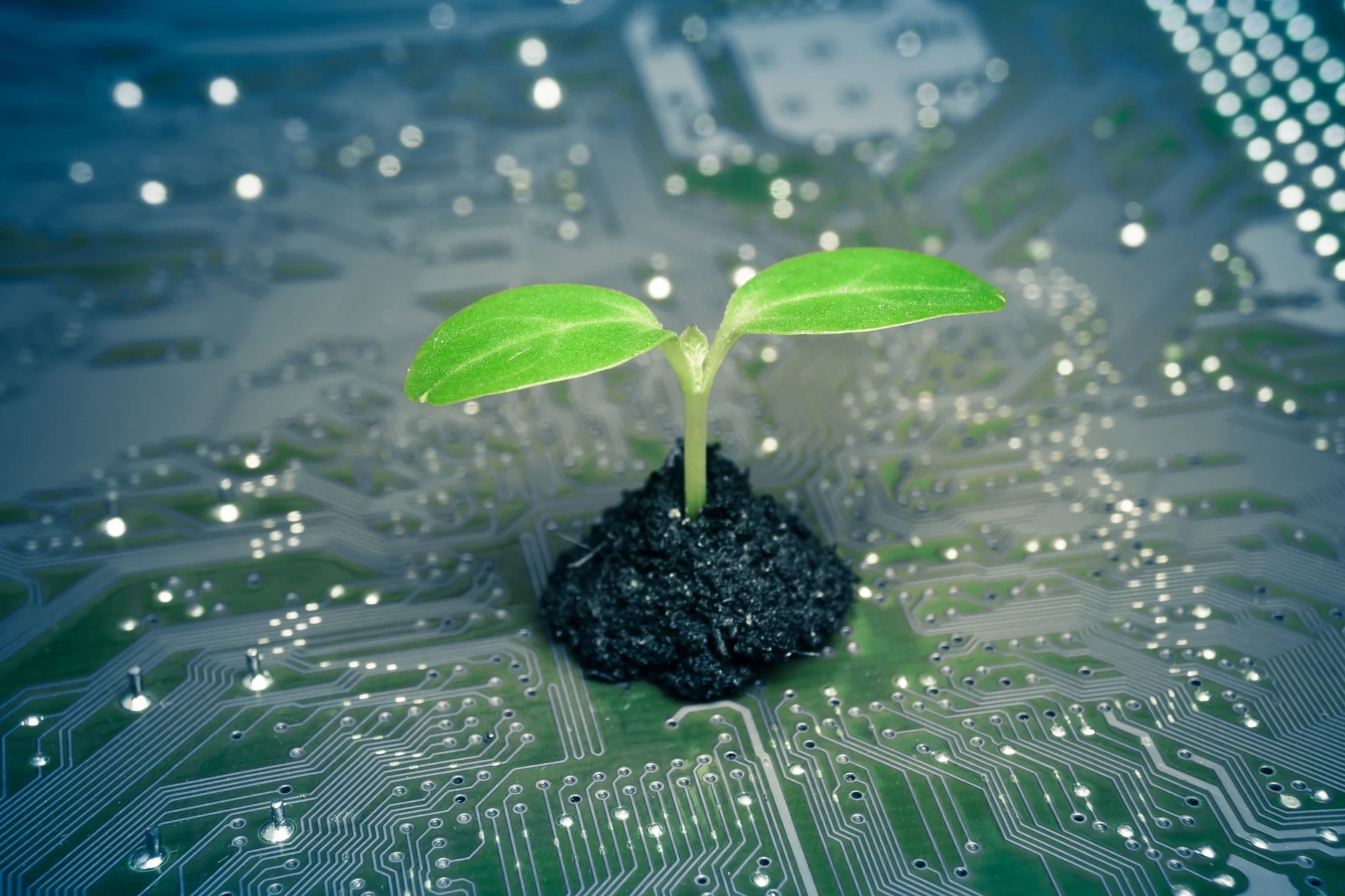 conservation technology